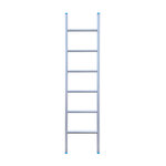 Eurostairs Ladder enkel recht 1x6 sporten