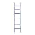 Eurostairs Ladder enkel recht 1x7 sporten