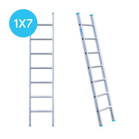Eurostairs Ladder enkel recht 1x7 sporten