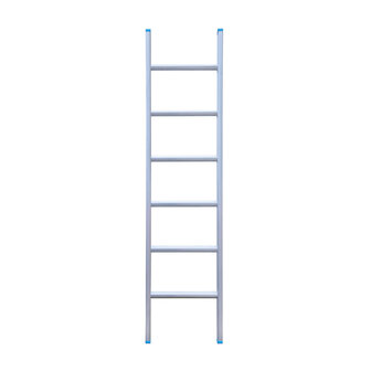 Eurostairs Ladder enkel recht 1x6 sporten