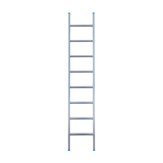 Eurostairs Ladder enkel recht 1x8 sporten