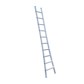 Eurostairs Ladder enkel uitgebogen 1x10 sporten