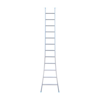 Eurostairs Ladder enkel uitgebogen 1x12 sporten