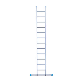 Eurostairs Ladder enkel recht 1x12 sporten