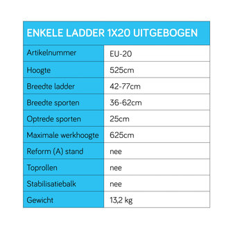 Eurostairs Ladder enkel uitgebogen 1x20 sporten