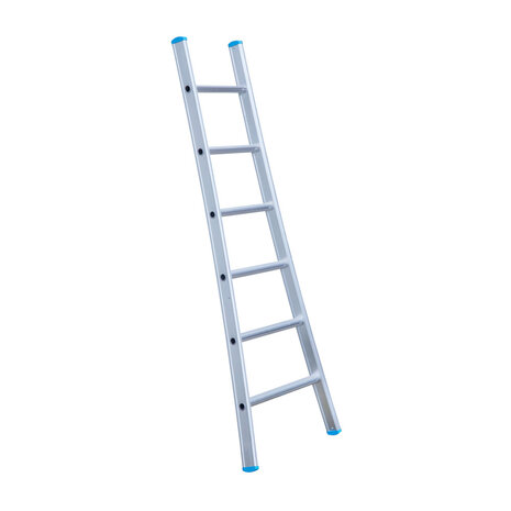 Eurostairs Ladder enkel uitgebogen 1x6 sporten