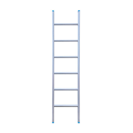 Eurostairs Ladder enkel recht 1x6 sporten