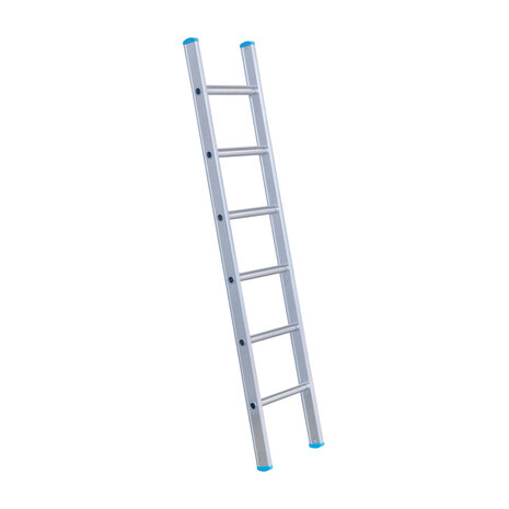 Eurostairs Ladder enkel recht 1x6 sporten