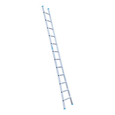 Eurostairs Ladder enkel uitgebogen 1x12 sporten