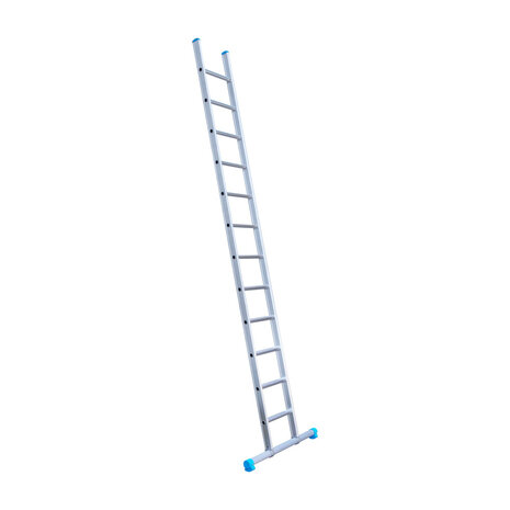 Eurostairs Ladder enkel recht 1x12 sporten