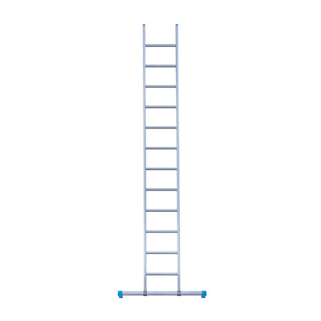 Eurostairs Ladder enkel recht 1x12 sporten